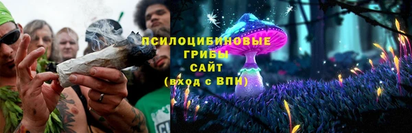 ешки Надым