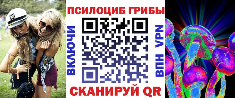 где найти наркотики  Власиха  Галлюциногенные грибы Cubensis 